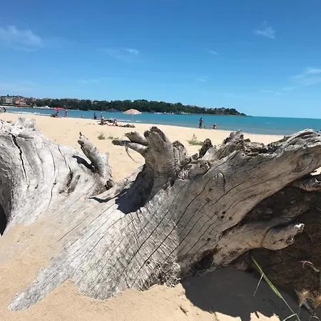 Beach *